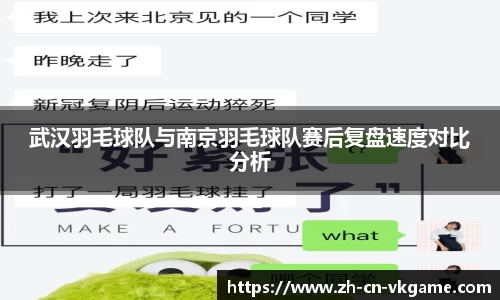 武汉羽毛球队与南京羽毛球队赛后复盘速度对比分析